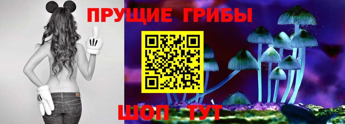 Галлюциногенные грибы мицелий Кыштым